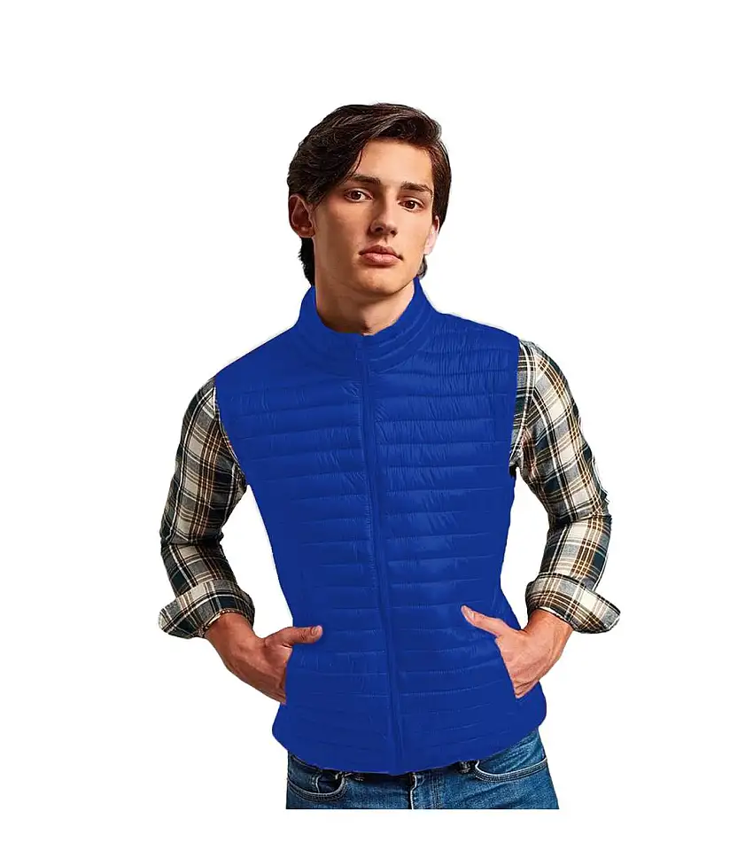 2786 Mens Tribe Fineline Padded Gilet/Bodywarmer (Royal) - UTRW5016