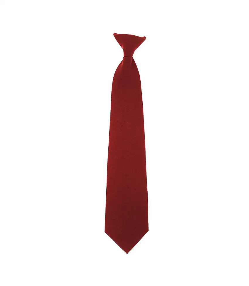 Yoko Clip-On Tie (Burgundy) (One Size) - UTBC1550