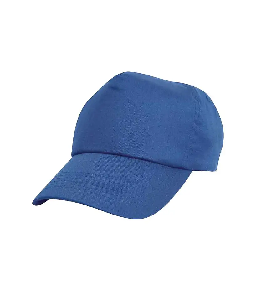 Unisex Adult Cotton Baseball Cap Royal Blue Result Headwear
