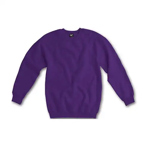 SG Kids Raglan Sleeve Crew Neck Sweatshirt (Pack of 2)